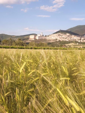 B&B Domus Benedicta Assisi